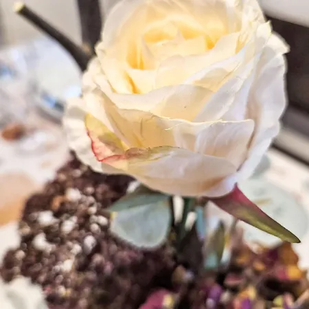 度假居 Loidl By Interhome 埃本湖