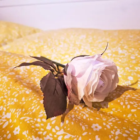 Loidl By Interhome * Ebensee